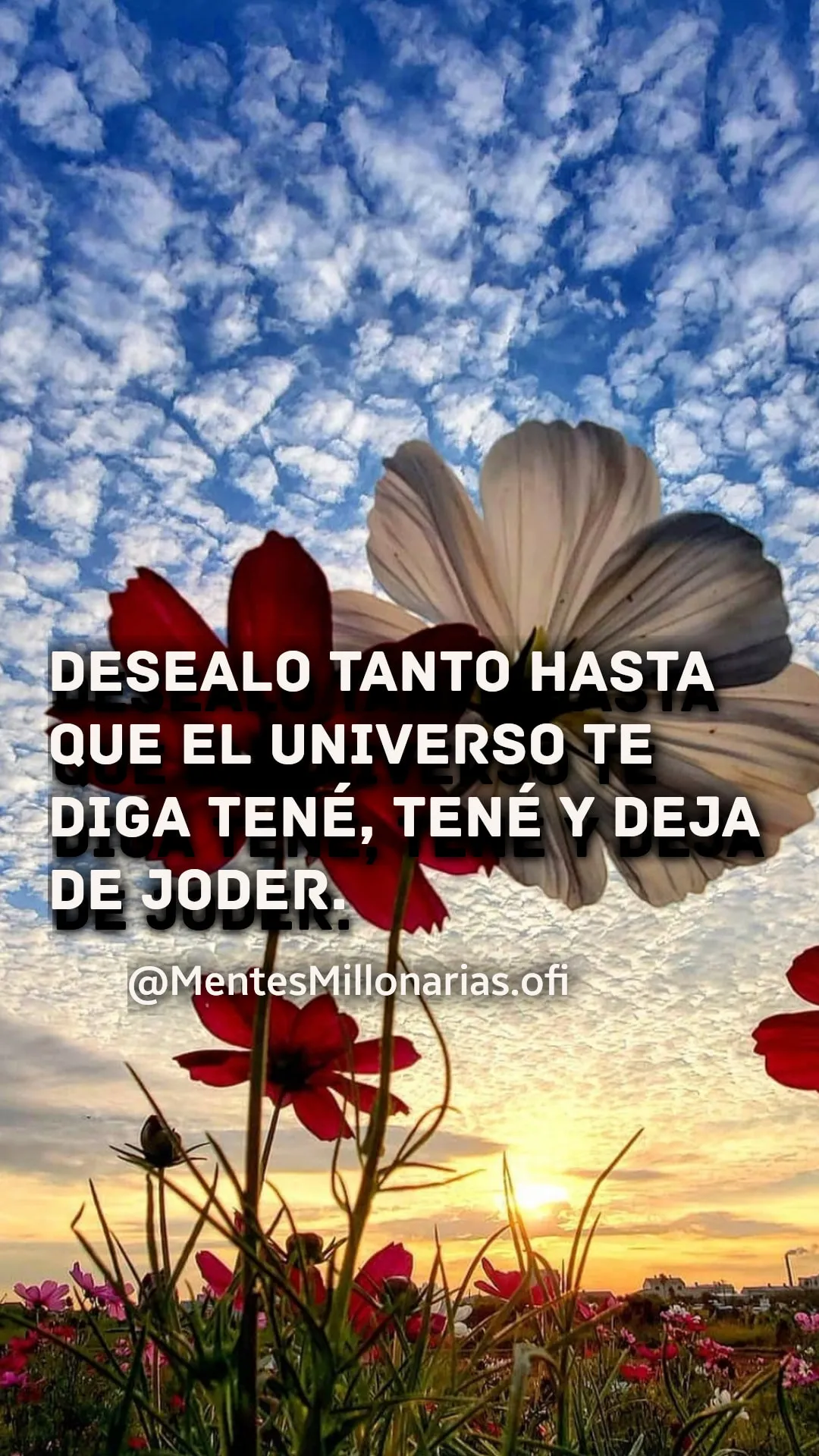 Desealo tanto hasta que el universo te diga tené, tené y deja de joder.