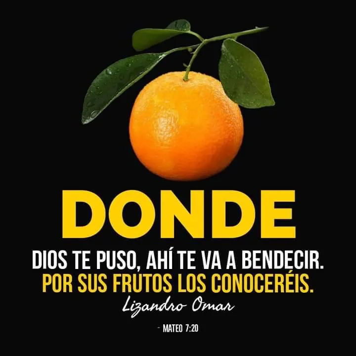 Donde dios te puso, ahí te va a bendecir.