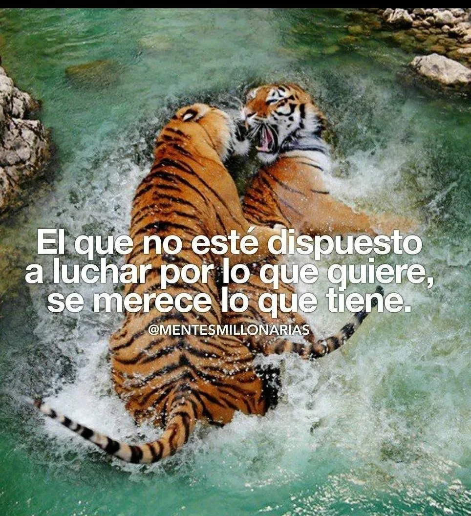 El que no esté dispuesto a luchar. . .