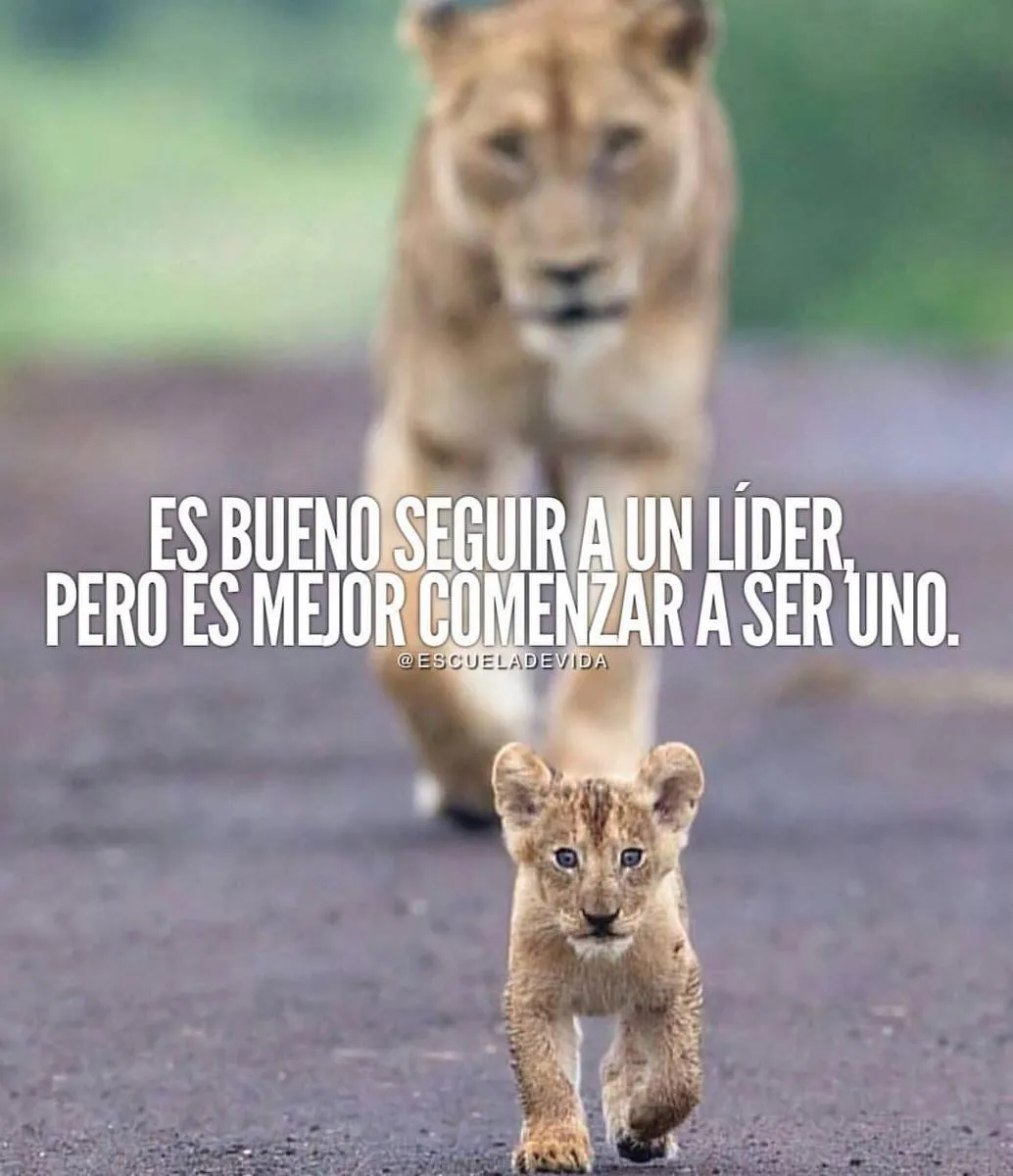 Es bueno seguir a un líder.