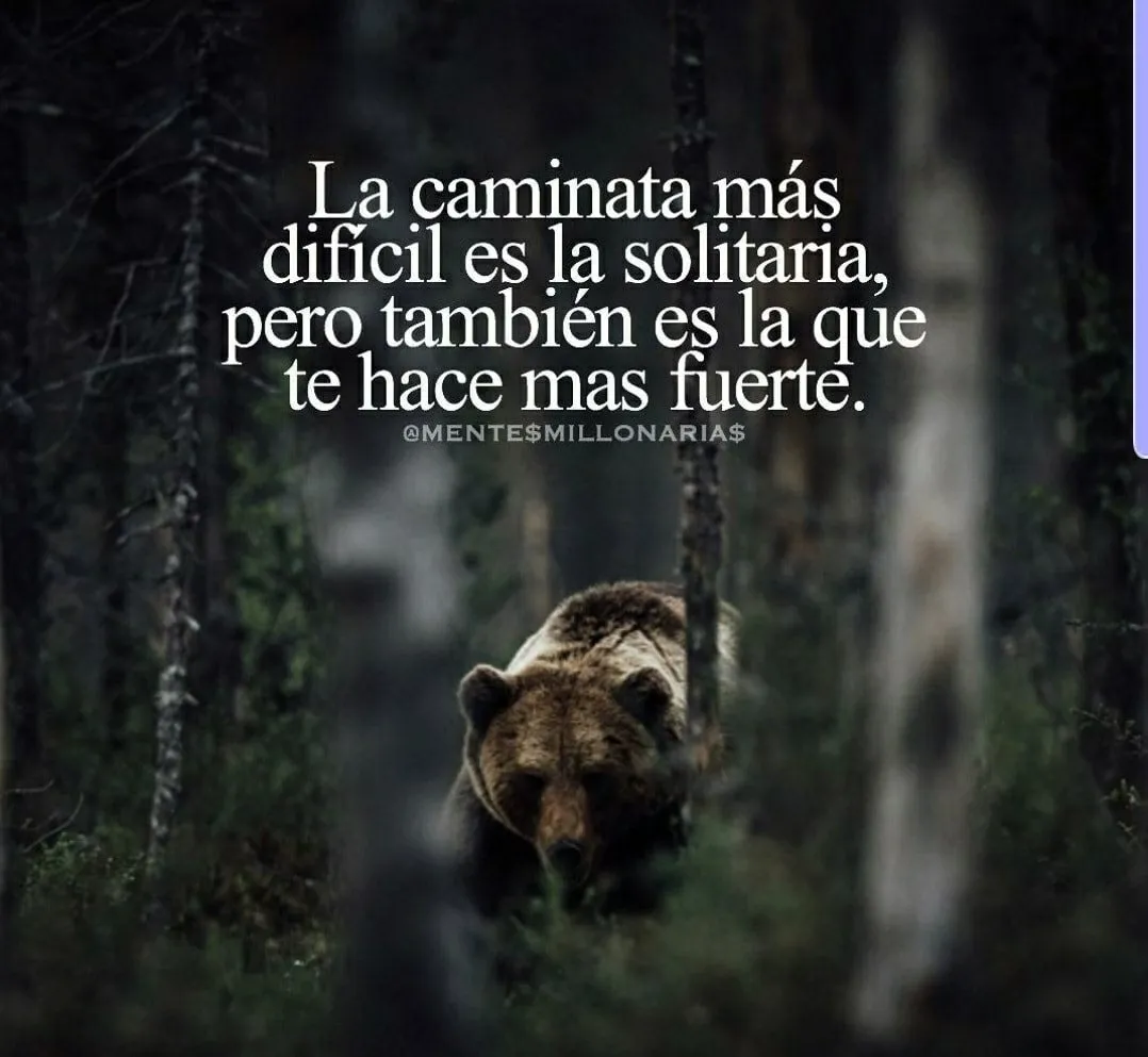 La caminata más difícil es la solitaria.