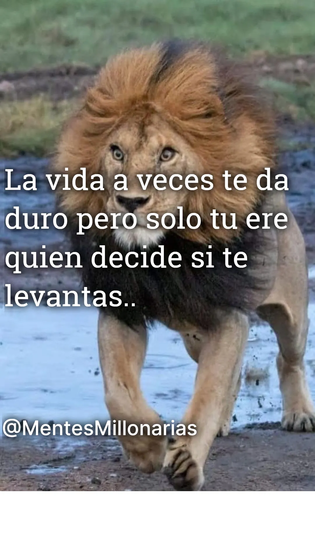 La vida a veces te da duro. . .