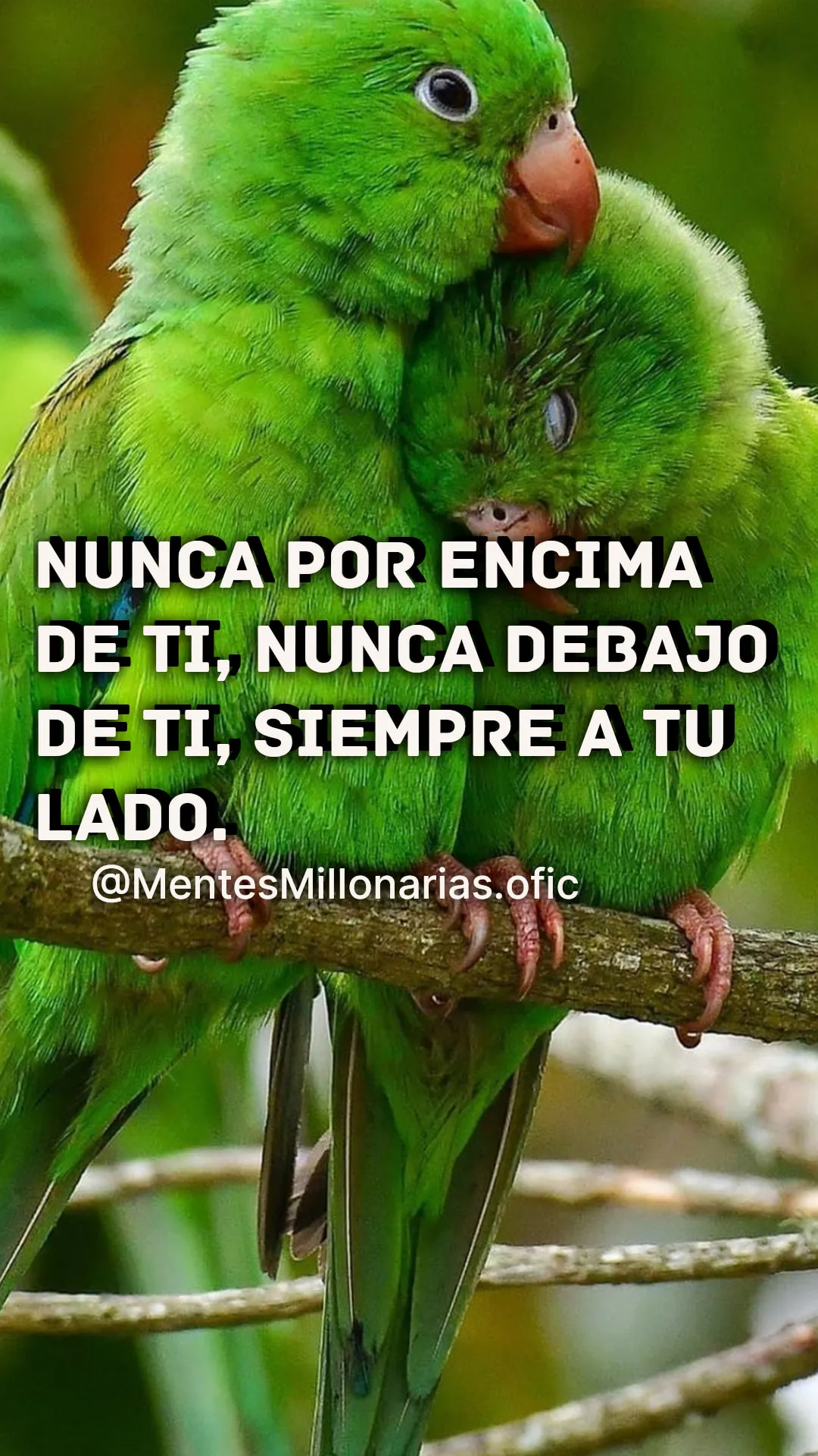 Nunca por encima de ti, nunca debajo de ti, siempre a tu lado.