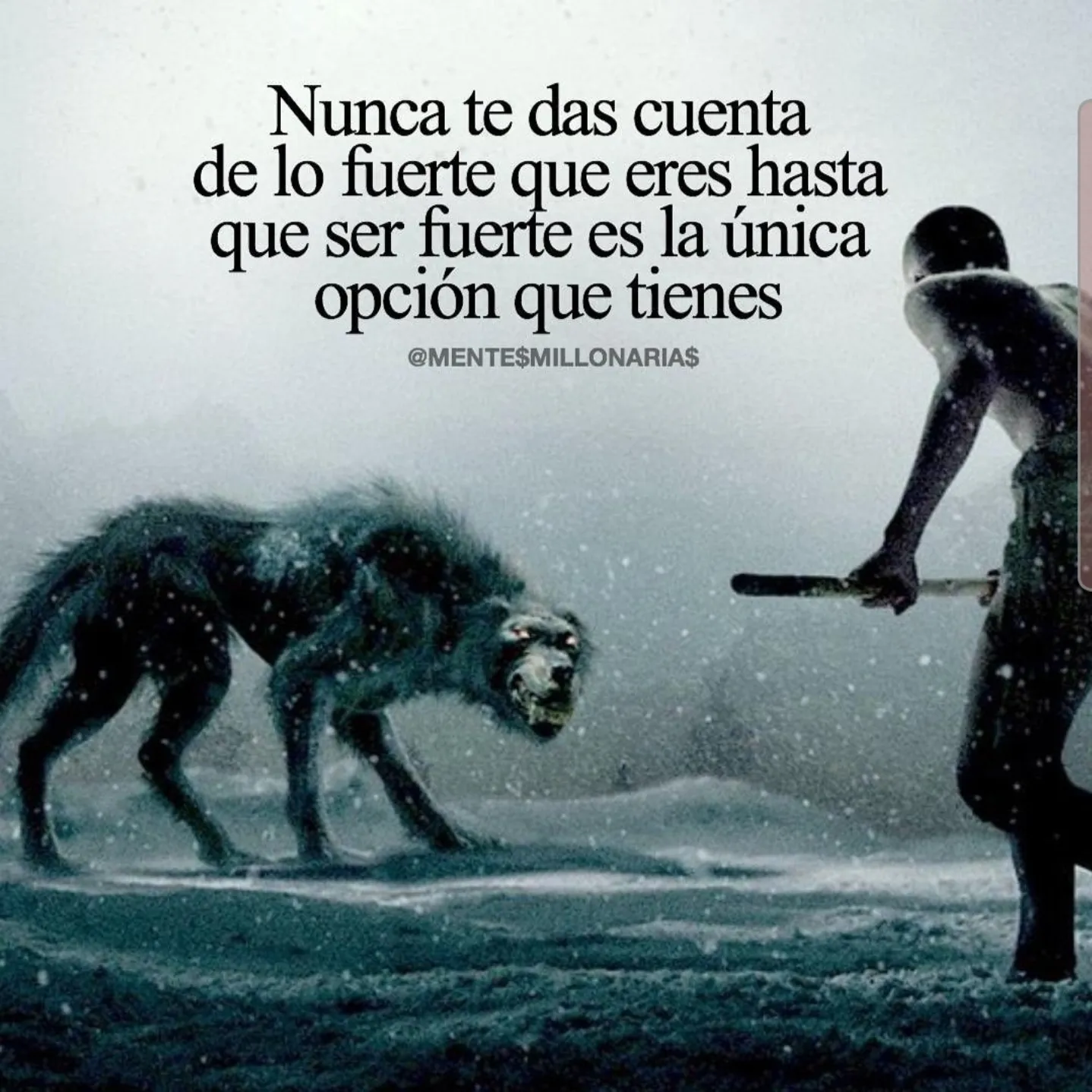 Nunca te das cuenta de lo fuerte que eres. . .