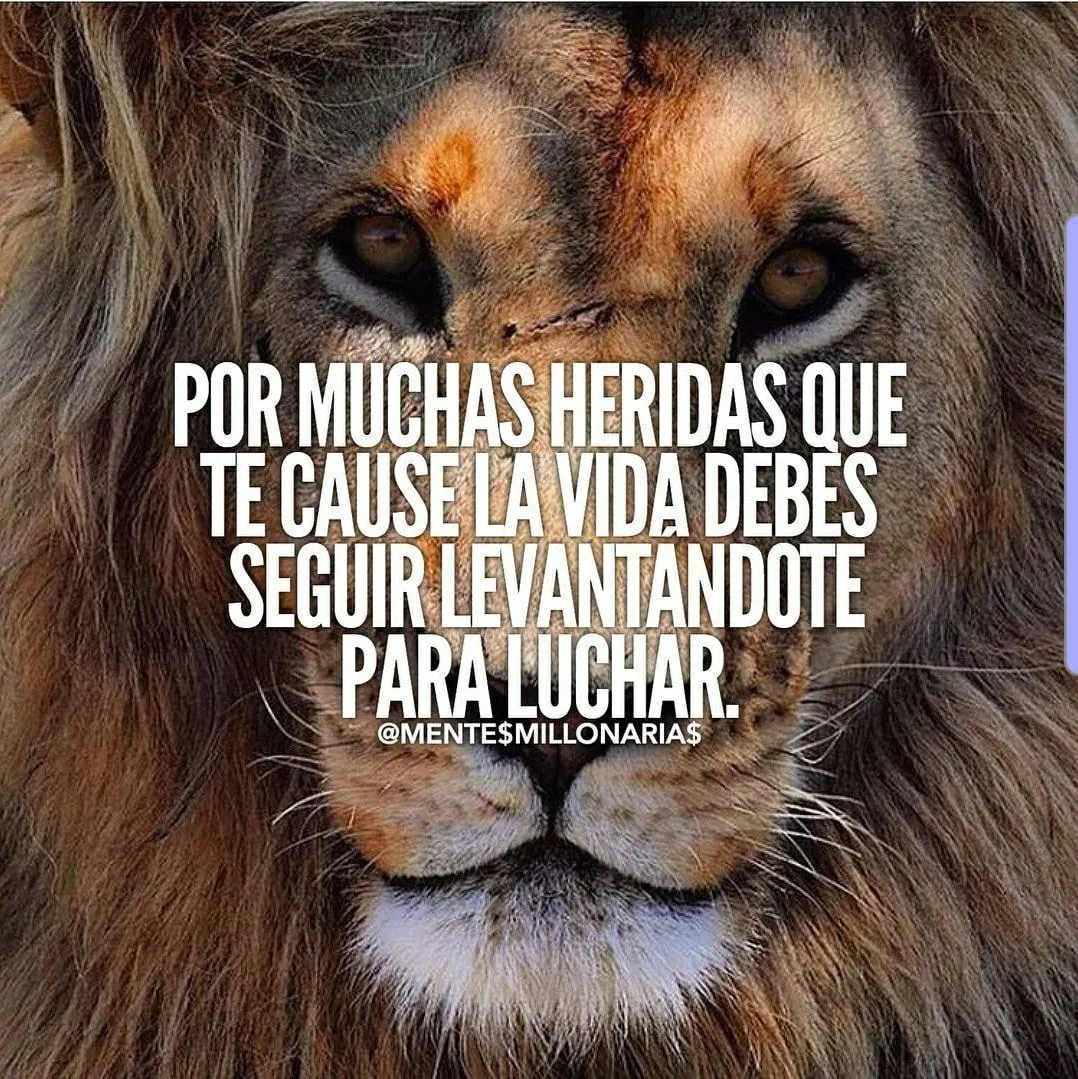 No matter how many wounds life gives you, you must keep getting up to fight.