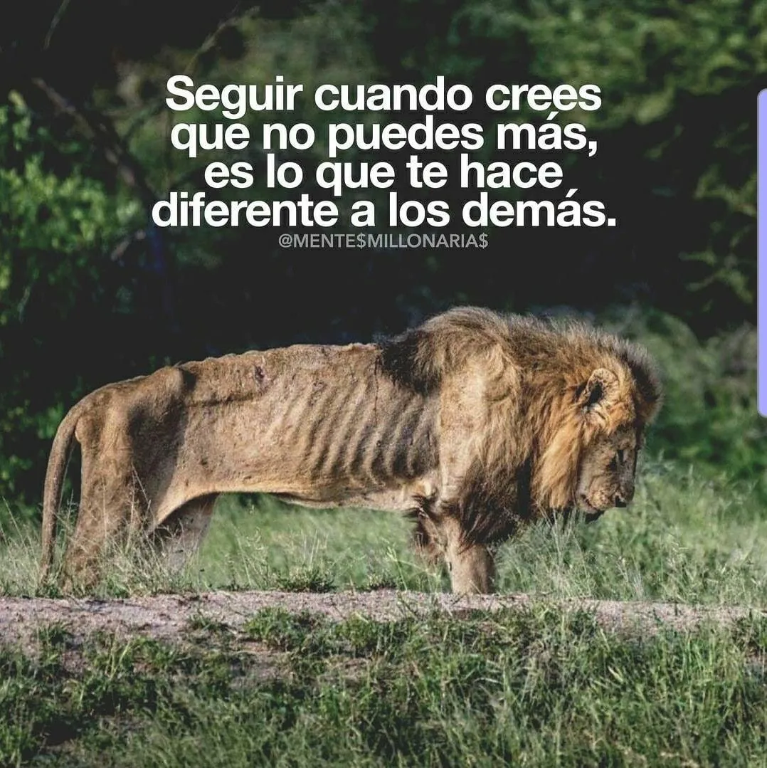 Seguir cuando crees que no puedes más, es lo que te hace diferente.