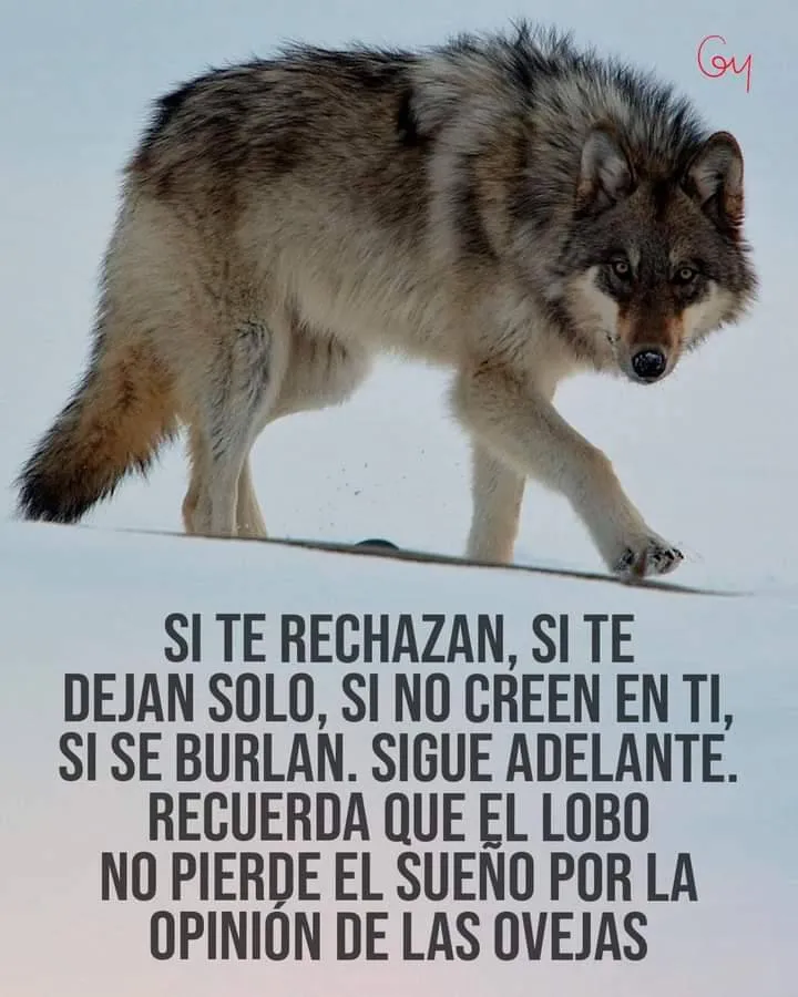 Si te rechazan, si te dejan solo, si no creen en ti, si se burlan, sigue adelante.