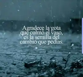 agradece_la_gota_que_colmo_el_vaso_es_la_semilla_del_cambio_que_pedias