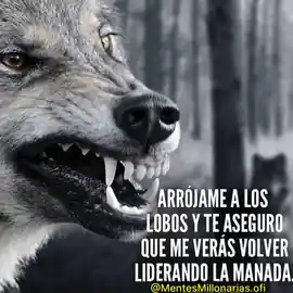 arrojame_a_los_lobos_y_te_aseguro_que_me_veras_volver_liderando_la_manada