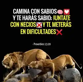 camina_con_sabios_y_te_haras_sabio_juntate_con_necios_y_te_meteras_en_dificultades