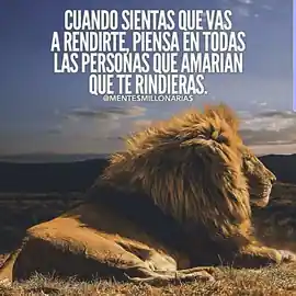cuando_sientas_que_vas_a_rendirte_piensa_en_todas_las_personas_que_amarian_que_te_rindieras