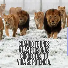 cuando_te_unes_a_las_personas_correctas_tu_vida_se_potencia