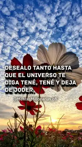 desealo_tanto_hasta_que_el_universo_te_diga_tene_tene_y_deja_de_joder