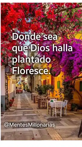 donde_sea_que_dios_halla_plantado_florece