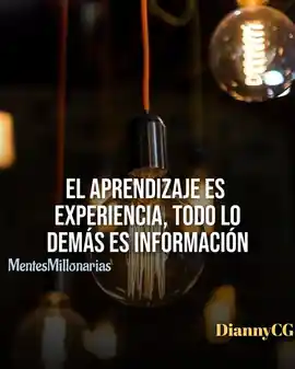 el_aprendizaje_es_experiencia_todo_lo_demas_es_informacion