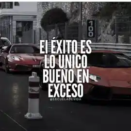 el_exito_es_lo_unico_bueno_en_exceso