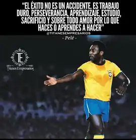 el_exito_no_es_un_accidente_es_trabajo_duro_perseverancia_aprendizaje_estudio_sacrificio_y_sobre_todo_amor_por_lo_que_haces_o_aprendes_a_hacer