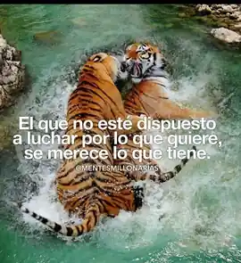 el_que_no_este_dispuesto_a_luchar_por_lo_que_quiere_se_merece_lo_que_tiene