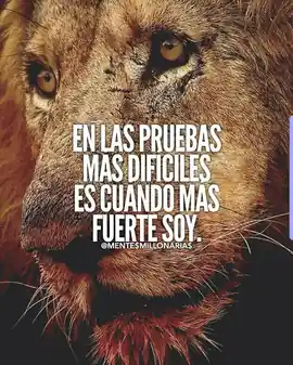 en_las_pruebas_mas_dificiles_es_cuando_mas_fuerte_soy