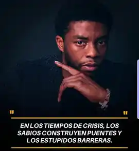 en_los_tiempos_de_crisis_los_sabios_construyen_puentes_y_los_estupidos_barreras