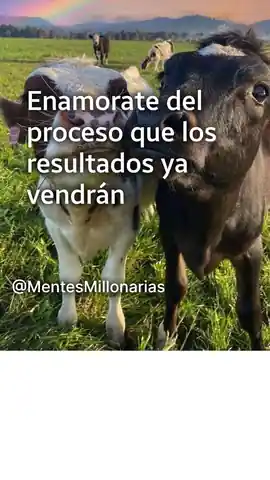 enamorate_del_proceso_que_los_resultados_ya_vendran