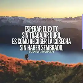 esperar_el_exito_sin_trabajar_duro_es_como_recoger_la_cosecha_sin_haber_sembrado
