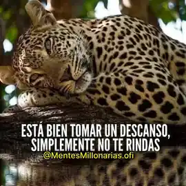 esta_bien_tomar_un_descanso_simplemente_no_te_rindas