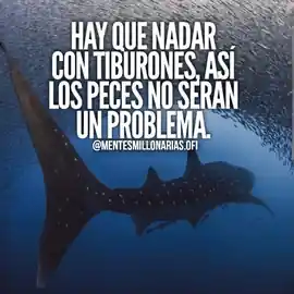 hay_que_nadar_con_tiburones_asi_los_peces_no_seran_un_problema