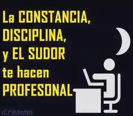 la_constancia_disciplina_y_el_sudor_te_hacen_profesional