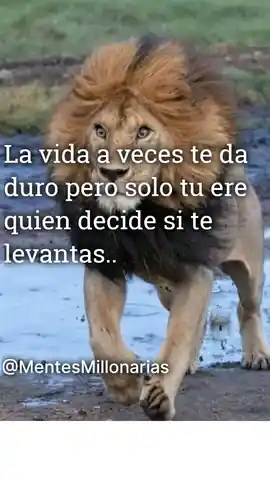 la_vida_a_veces_te_da_duro_pero_solo_tu_ere_quien_decide_si_te_levantas
