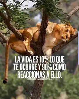 la_vida_es_10_lo_que_te_ocurre_y_90_como_reaccionas_a_ello
