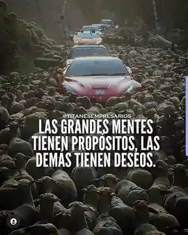 las_grandes_mentes_tienen_propositos_las_demas_tienen_deseos