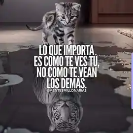 lo_que_importa_es_como_te_ves_tu_no_como_te_vean_los_demas