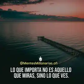 lo_que_importa_no_es_aquello_que_miras_sino_lo_que_ves