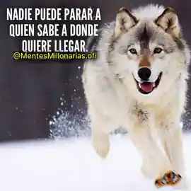 nadie_puede_parar_a_quien_sabe_a_donde_quiere_llegar