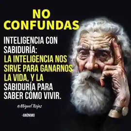 no_confundas_inteligencia_con_sabiduria_la_inteligencia_nos_sirve_para_ganarnos_la_vida_y_la_sabiduria_para_saber_como_vivir