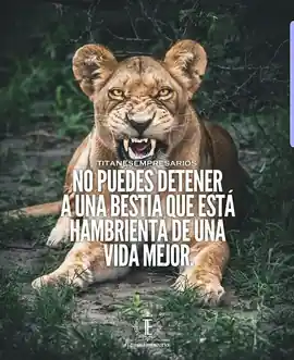 no_puedes_detener_a_una_bestia_que_esta_hambrienta_de_una_vida_mejor