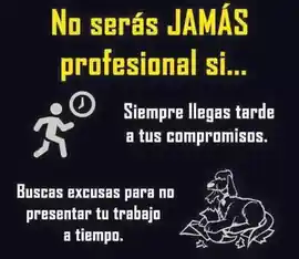 no_seras_jamas_profesional_si