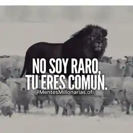 no_soy_raro_tu_eres_comun