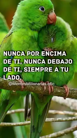 nunca_por_encima_de_ti_nunca_debajo_de_ti_siempre_a_tu_lado