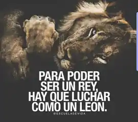 para_poder_ser_un_rey_hay_que_luchar_como_un_leon