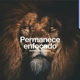 permanece_enfocado