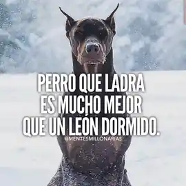 perro_que_ladra_es_mucho_mejor_que_un_leon_dormido