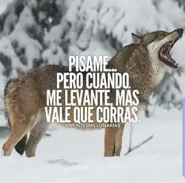 pisame_pero_cuando_me_levante_mas_vale_que_corras_1