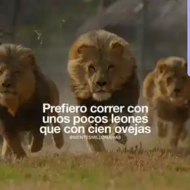 prefiero_correr_con_unos_pocos_leones_que_con_cien_ovejas