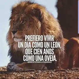 prefiero_vivir_un_dia_como_un_leon_que_cien_anos_como_una_oveja