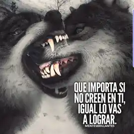 que_importa_si_no_creen_en_ti_igual_lo_vas_a_lograr