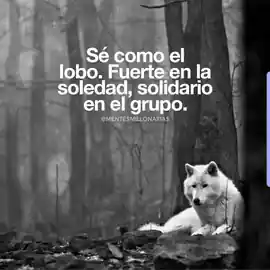 se_como_el_lobo_fuerte_en_la_soledad_solidario_en_el_grupo