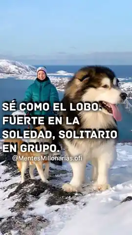 se_como_el_lobo_fuerte_en_la_soledad_solitario_en_grupo