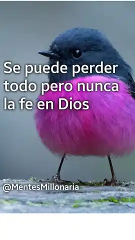 se_puede_perder_todo_pero_nunca_la_fe_en_dios